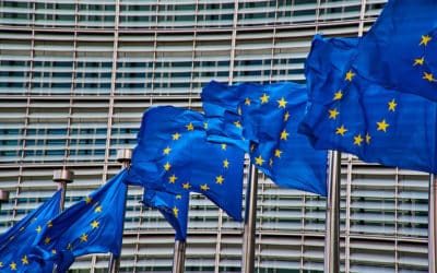 Digital Services Act : l’UE veut imposer ses normes et sa vision du monde à sens unique